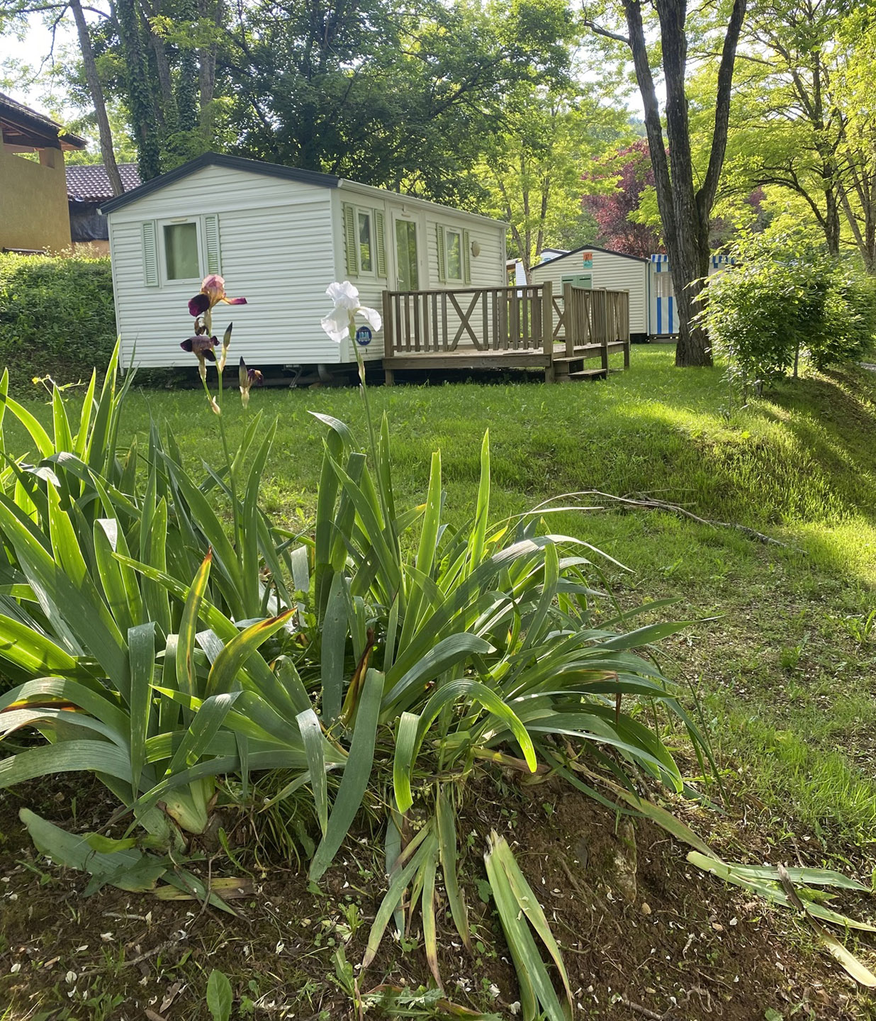 mobil home 4 personnes nature terrasse bois camping 3 etoiles letrel dordogne 9